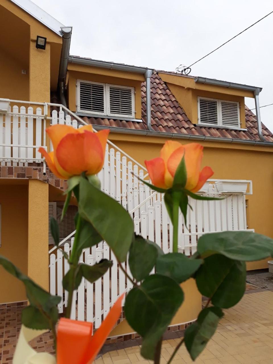 Golden House Apartments Čačak Esterno foto