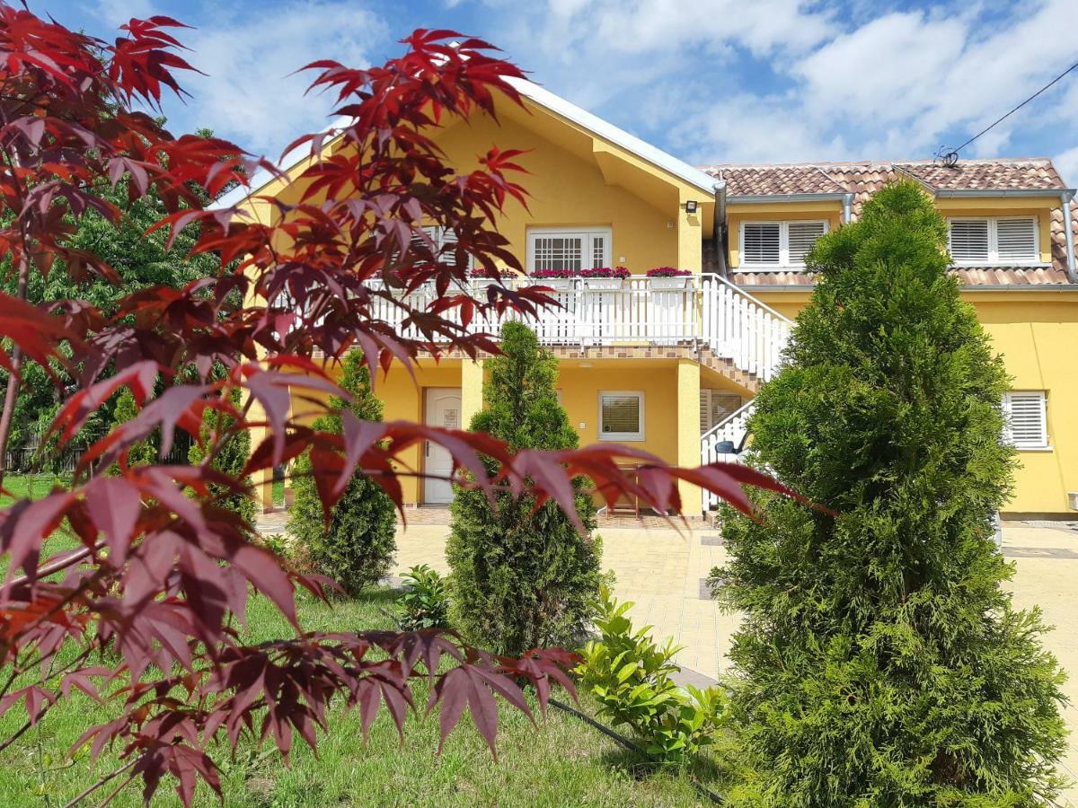Golden House Apartments Čačak Esterno foto